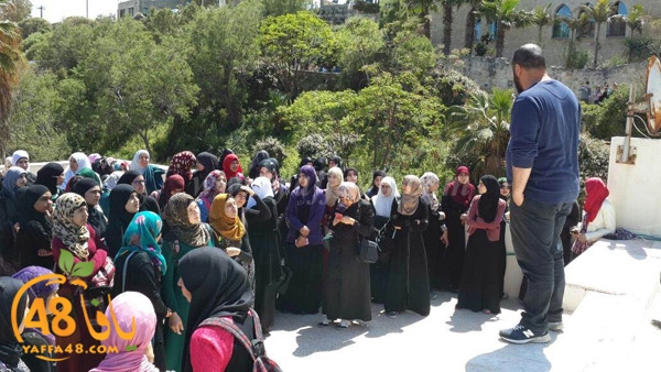 nesa2 wafed ej (10).JPG